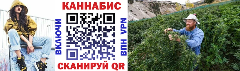 Бошки марихуана VHQ  Хотьково 